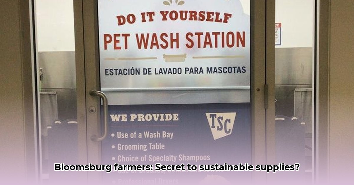 tractor-supply-bloomsburg-pa